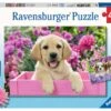 Harige Vriendjes β Puzzelbox Ravensburger 2 X 24 Stukjes 2 Harige Vriendjes β Puzzelbox Ravensburger 2 X 24 Stukjes -Auto Winkel harige vriendjes puzzelbox ravensburger